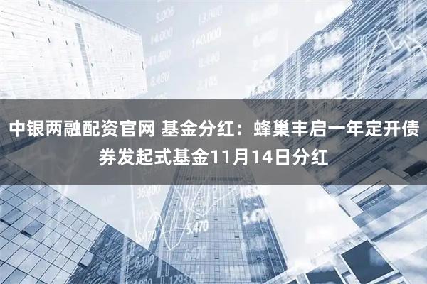 中银两融配资官网 基金分红：蜂巢丰启一年定开债券发起式基金11月14日分红