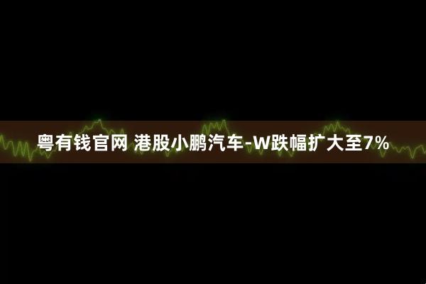 粤有钱官网 港股小鹏汽车-W跌幅扩大至7%
