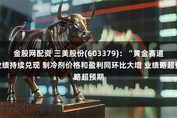 金股网配资 三美股份(603379):“黄金赛道”业绩持续兑现 制冷剂价格和盈利同环比大增 业绩略超预期