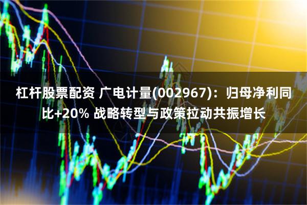 杠杆股票配资 广电计量(002967)：归母净利同比+20% 战略转型与政策拉动共振增长