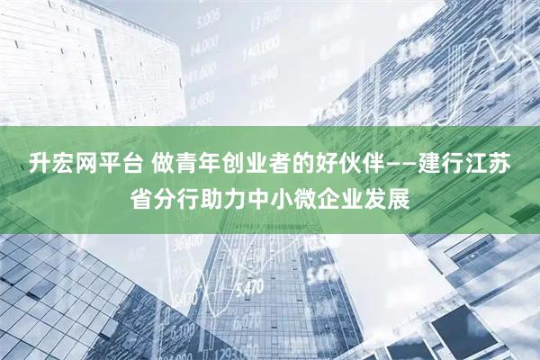 升宏网平台 做青年创业者的好伙伴——建行江苏省分行助力中小微企业发展
