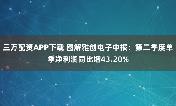三万配资APP下载 图解雅创电子中报：第二季度单季净利润同比增43.20%